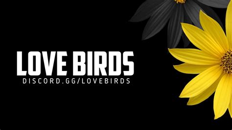 discord e dating server|Lovebirds 